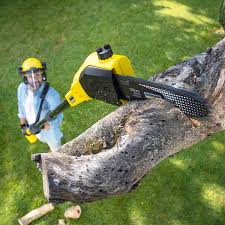 Best Landscape Design and Installation  in Glendora, CA